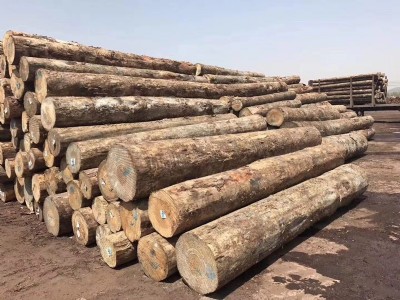 �S���аl(f��)�V��|������ľ| һ�����ľ