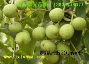 8518�����������|�����磬�޽Ӻ�����(�D)