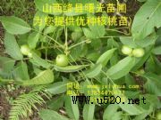 �����������ɽ�������磬���N������(�D)