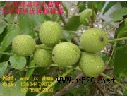 �|�˺����磬����Nֲ��������(�D)