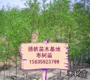 ���������磬������r��ɽ�������磬�����������Ʒ��