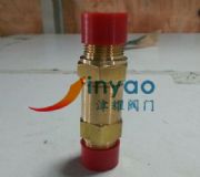 ��ȫ�y21g10mn-tf 1-npt�DƬ