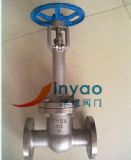 �͜ط��m�l�y