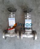 dz41w-16p/25p�͜��l�y