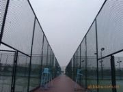 �̓r�����w�����o�ھW/�W������W���|�aƷ(�D)