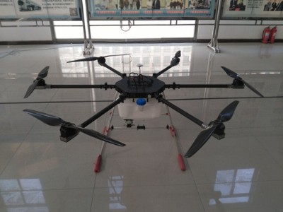 ����ʮ���︲�w�ʺõ�ֲ���C