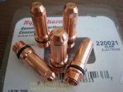 ����늘O220021