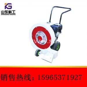 �ƹ��qĩ���N����450�����R·���L�C���R·��ߌ���