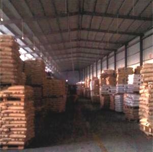 �����_�ڄ����_��ĸ��