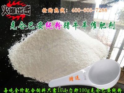 �ˁ��Ͱ�����