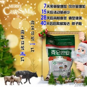 �Gɫ �o(w��)�� ���ٴ߷� �x�񰲻տˁ��Ͱ��߷ʄ�