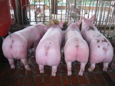 �������i�� ��4�A���� ���L���ﲻ�ǉ�