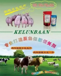 ���̷� �߷���  ���ݵĮa(ch��n)Ʒ �ˁ��Ͱ�