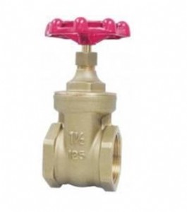 kitz-fr���~�z���l�y