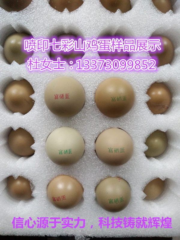 ����С���u�����a�C  �`�ɷ������