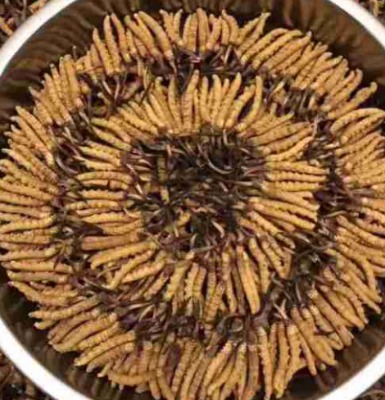 �������x�Ĳݻ��Ճr�� ����ʡ�����л��ն��x�Ĳݹ�˾��ַ�Ԓ