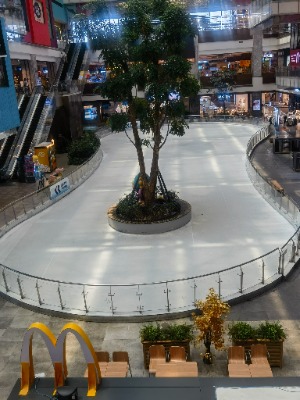 �����M�ڷ������