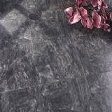 �¿�¡�ذ�-6601(�D)