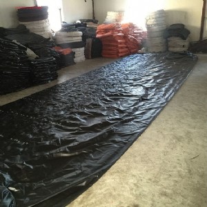 �V���������LͲ �V�Ì��LͲ�S��