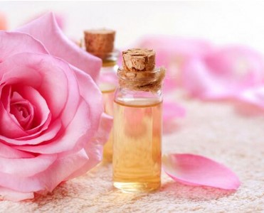 �������͔U��C