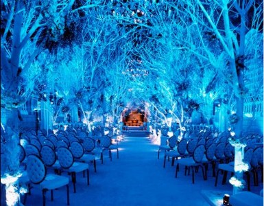 �����Ƶ���ü���C