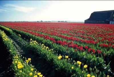 �ؑc�U��C�M��