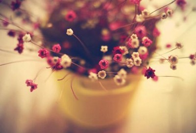 �U��C ����