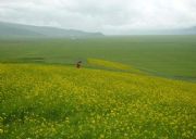 ������܇���ݼ���C