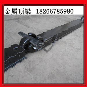 �V���q����� �Vɽ֧�o���