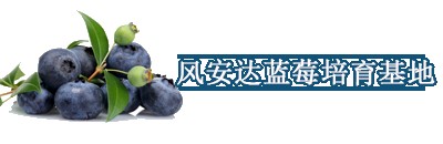 �x���r�g���{ݮ�����l�Nֲ�߮a���ǉ�