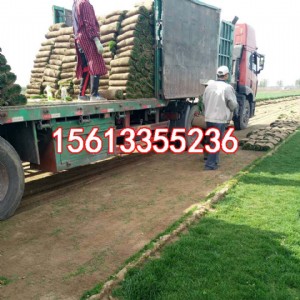 �ӱ�С�^(q��)��ƺ