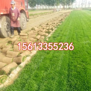 ʯ���f��ƺ