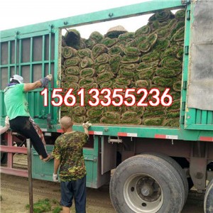 ��ɽ�ļ����ƺ