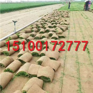 ʯ���f����̲�ƺ