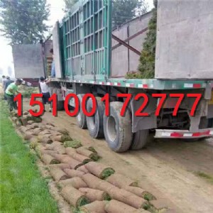 ʯ���f���оG����ƺ