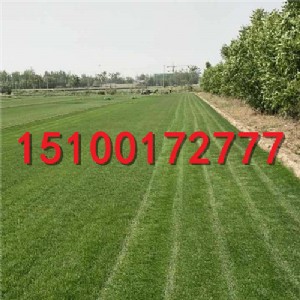 ���_����̲�ƺ ��ƺ���l