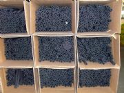 ���{���ܹ܏S�����l