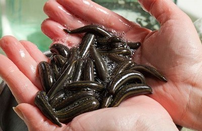 ˮ���Bֳ���꼃�������_26�fԪ