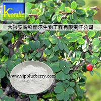 �ܹ�߰���ܹ��գ�afa-�ܹ�߰