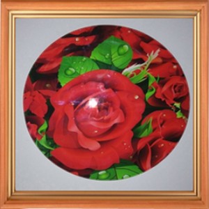 ���ׄ������D��ӡˢ�C��a3ƽ���ӡ�C