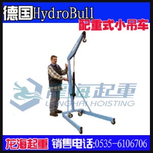 500kg����ʽС��܇,���ո߶�1570mm,���|(zh��)����