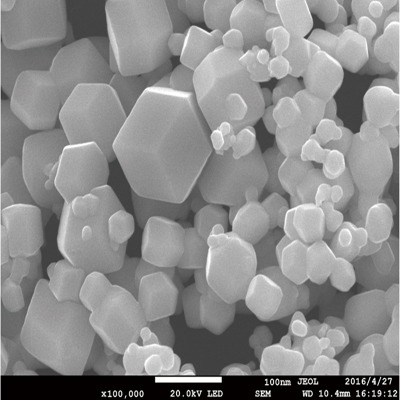 �{���f�� �������ӄ� ���� ����ʯ�ü{���f��