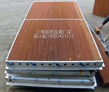 ��Ĥ�ӝ���