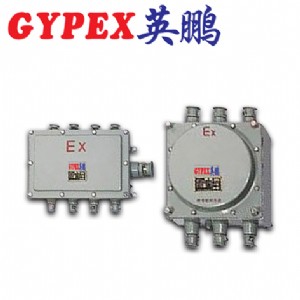 �S�V��������� ���I���������