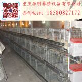 ���r�\ �r�u�\ ���u���r�\ ���u���r�\ Ó�ػ\