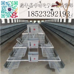 ���u�\ �A�ݵ��u�\