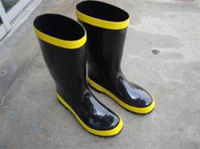 �����zѥ������ѥ�������T�zѥ�������T�����oѥ