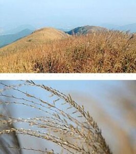 �ǰ����� �Ȗ|ݸ����ɽ�y���� �p�����JȔһ��������