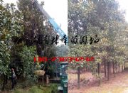 12����13����15����16����18���֏V���m�r��