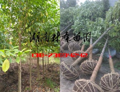 8-10���֘�����Ц�r(ji��)��